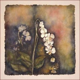 K1024_Orchideen.JPG